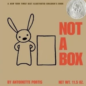 "Not a Box" cover