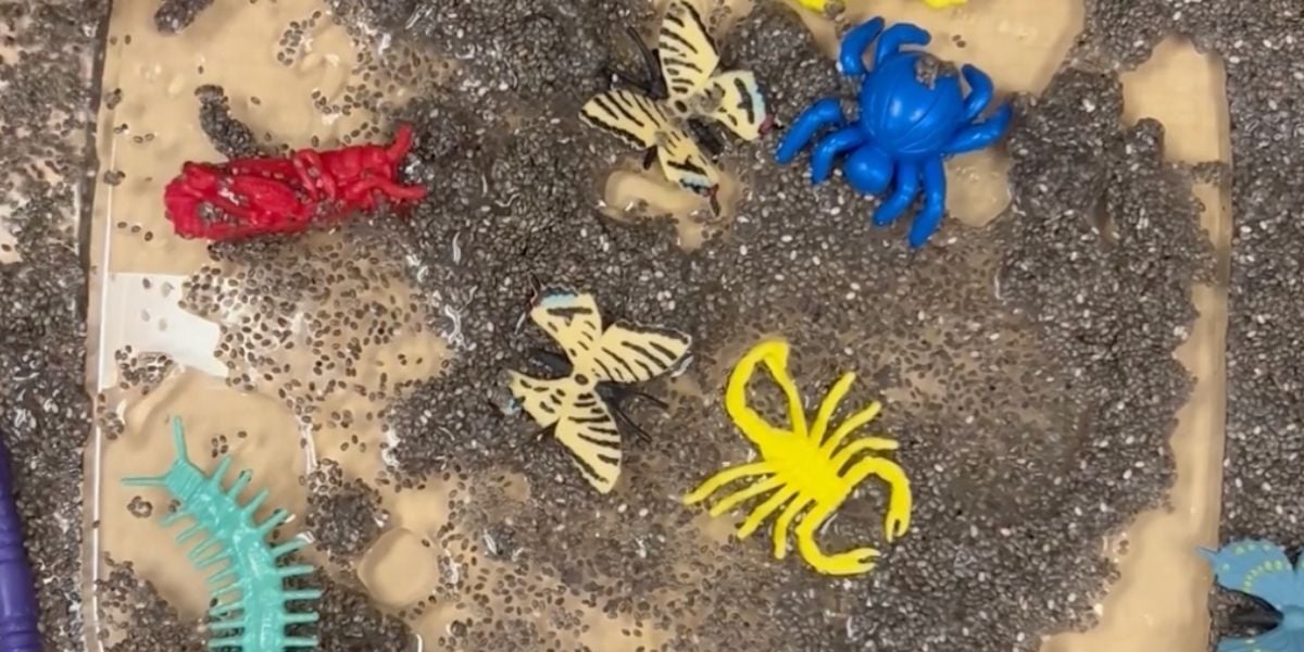 an indoor sensory garden box with toy bugs and chia seeds