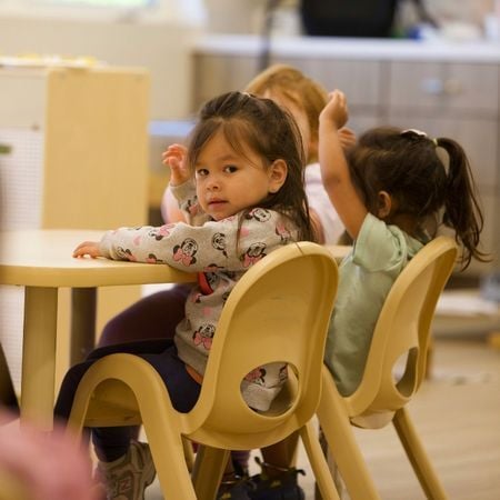 two young TK-age girls raising their hands at a desk in a classroom