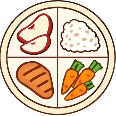 a graphic with a quadrant plate broken into 4 parts with an apple, rice, carrots, and piece of meat