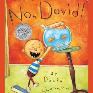 "No, David!" cover