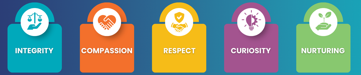 Valueswebsitegraphic